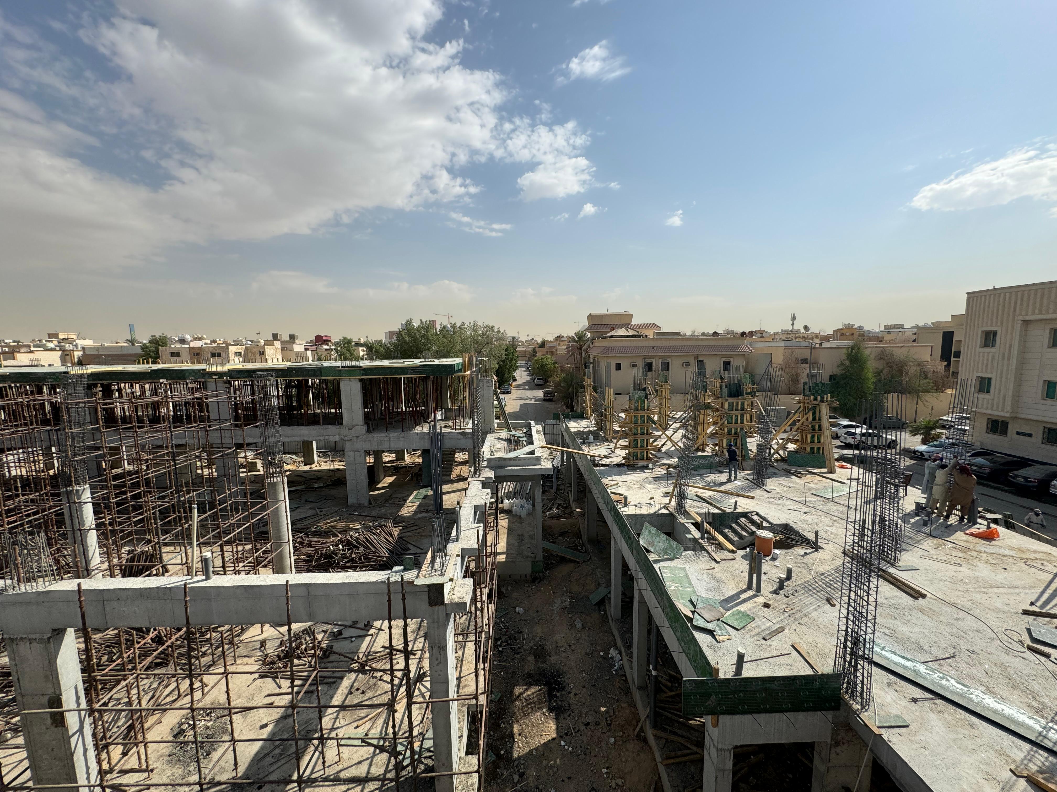Sulaiman Al Rabie Villas and Mosque